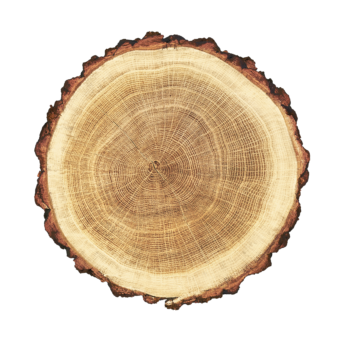 product_03 https://www.micantiadesign.it/wp-content/uploads/2017/05/product_03.png